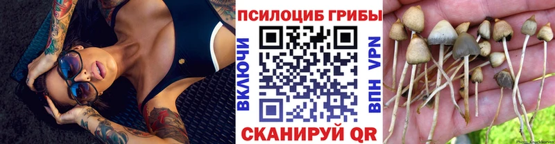 ссылка на мегу   Шиханы  Галлюциногенные грибы прущие грибы  как найти закладки 